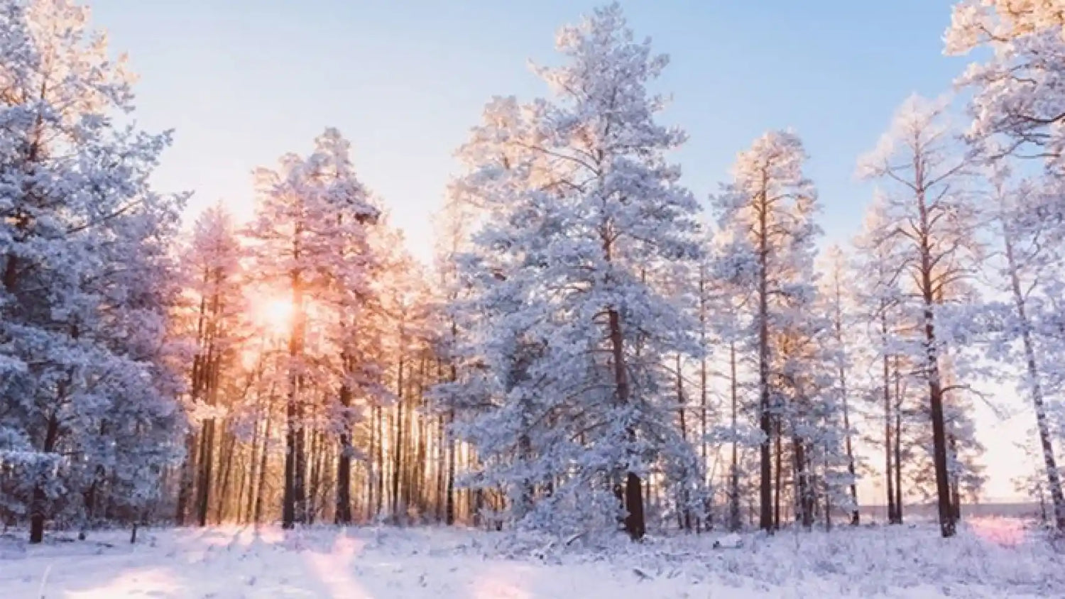 INVIERNO