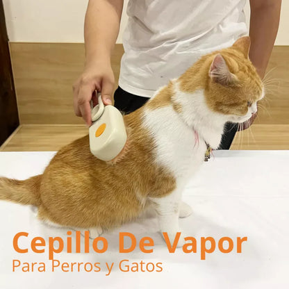 Cepillo Para Mascotas A Vapor Recargable 🦮🐶