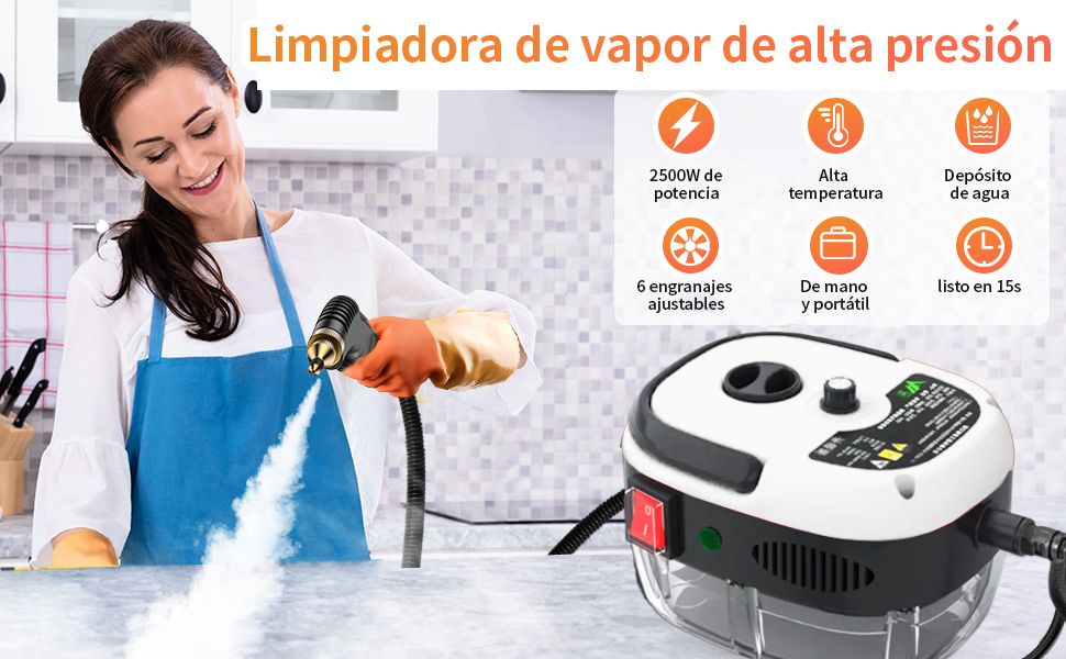 Limpiador De Vapor Presurizado De Alta Temperatura 2800w